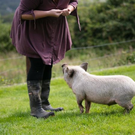 Cwtch Farm Bed & Breakfast Ystalyfera Eksteriør bilde