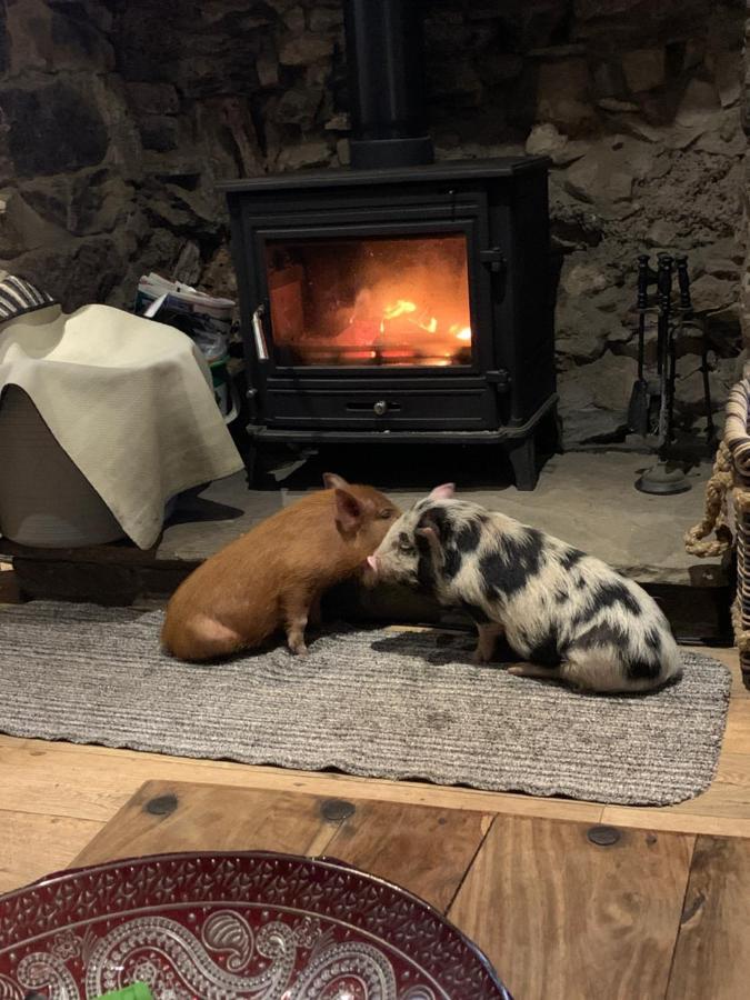 Cwtch Farm Bed & Breakfast Ystalyfera Eksteriør bilde