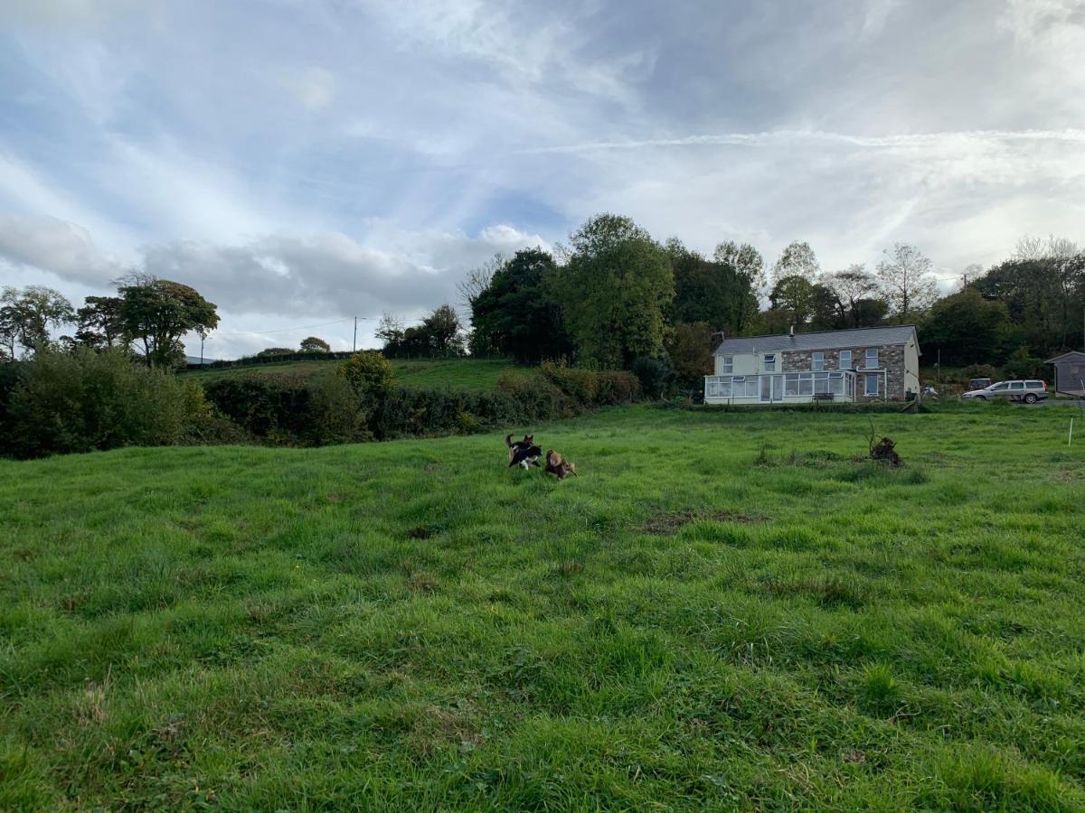 Cwtch Farm Bed & Breakfast Ystalyfera Eksteriør bilde