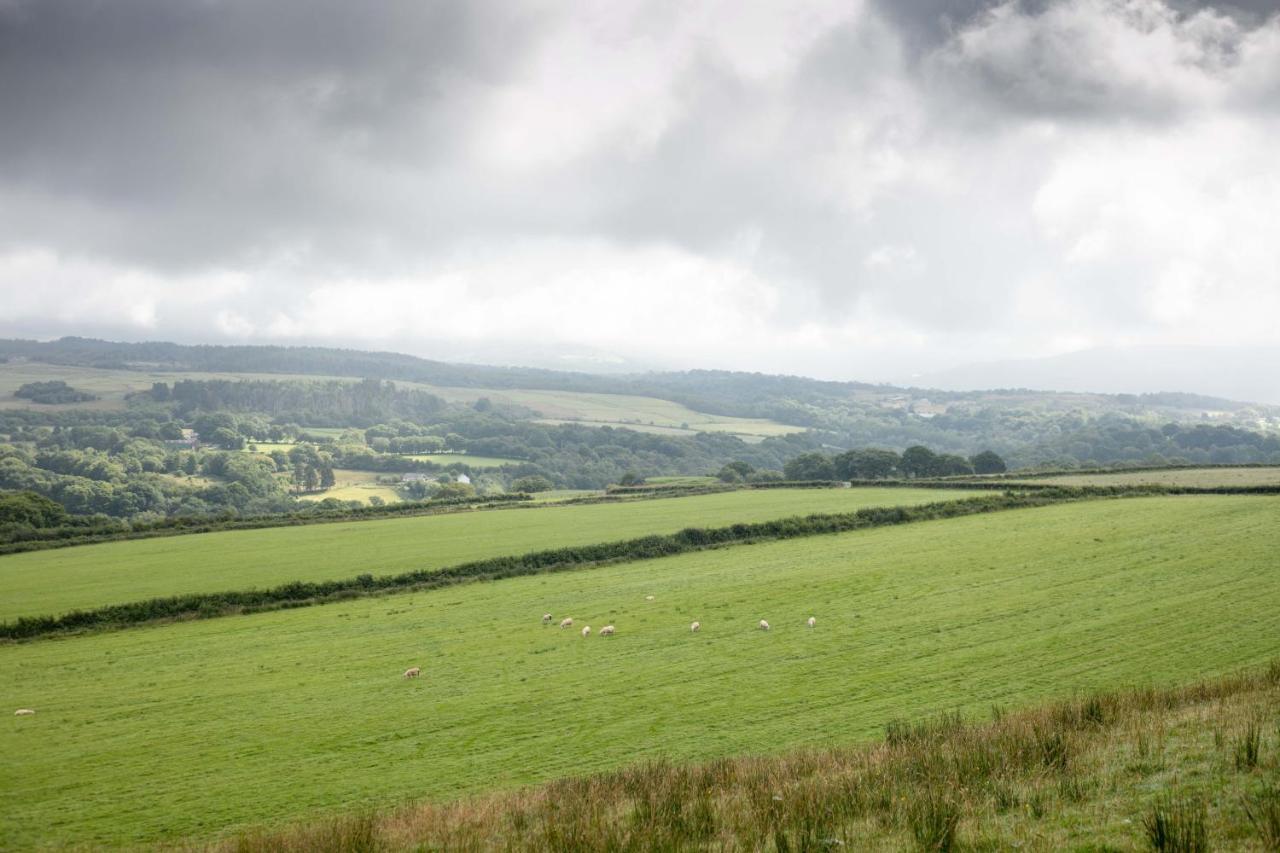 Cwtch Farm Bed & Breakfast Ystalyfera Eksteriør bilde